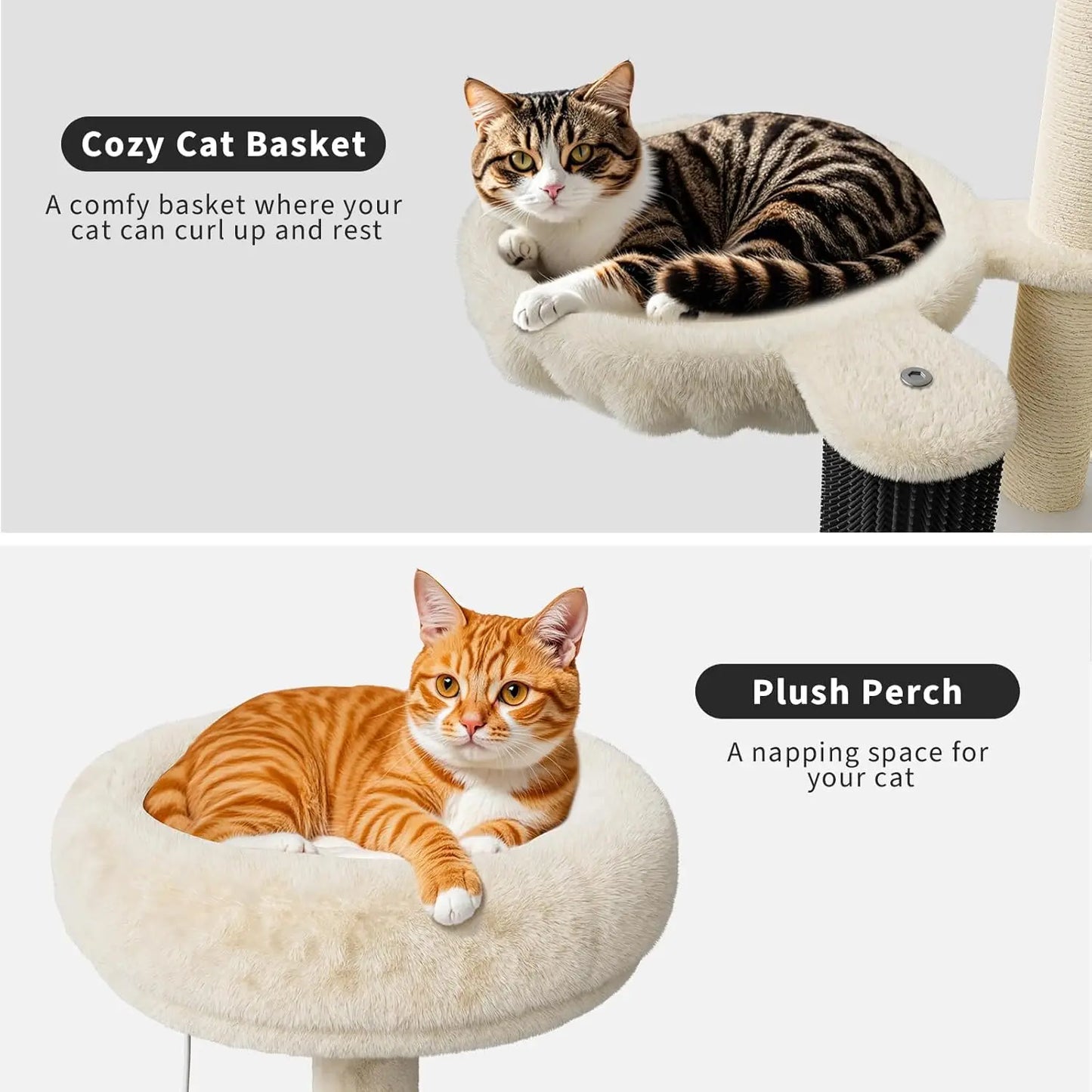 2 in 1 Cat Litter Box Enclosure with Modern Cat Tree Tower