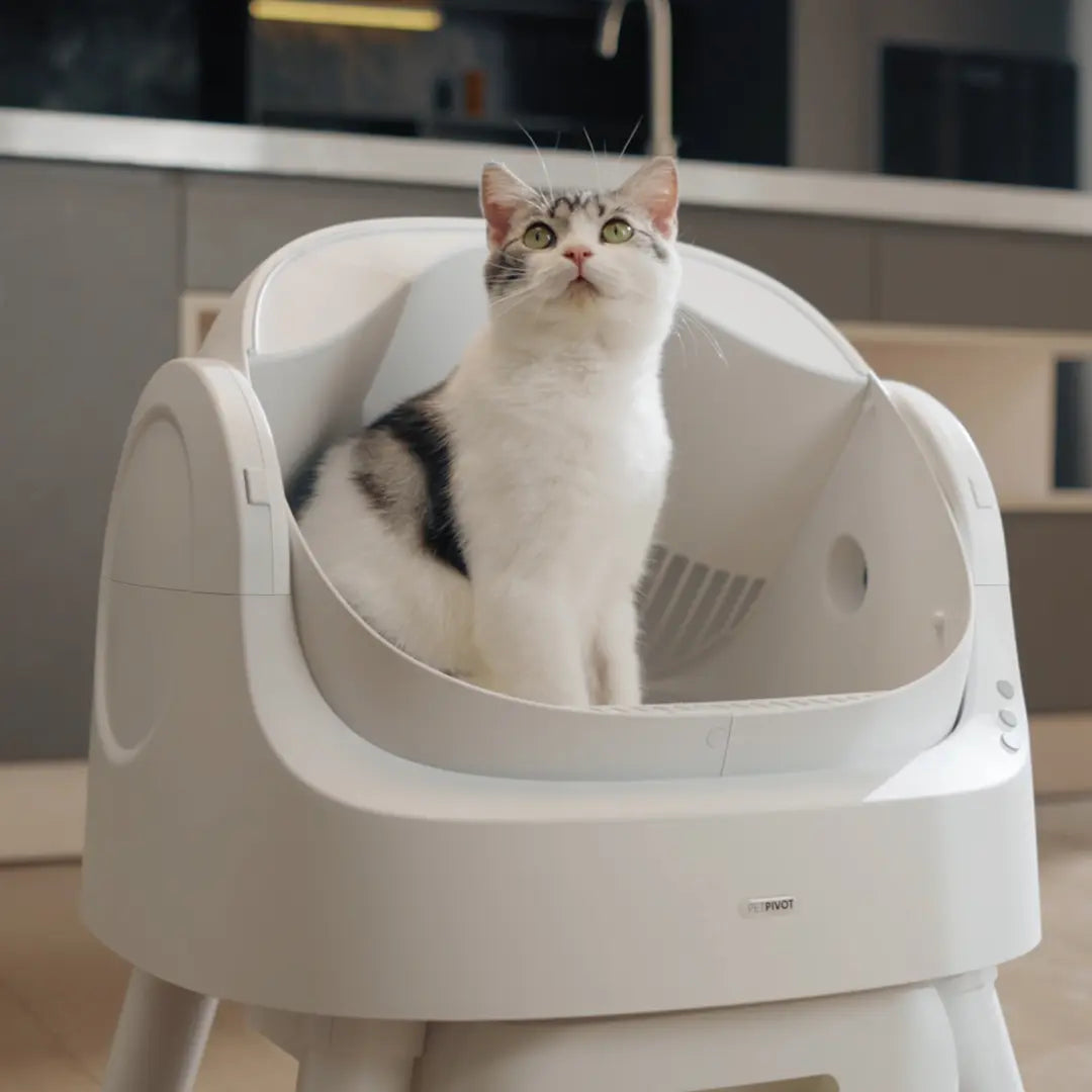 Automatic Self Cleaning Cat Litter Box with Hands Free Scooping
