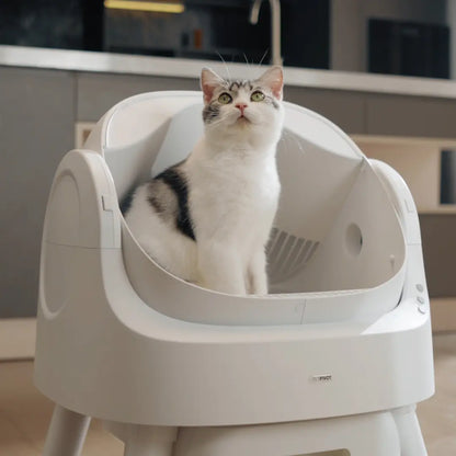 Automatic Self Cleaning Cat Litter Box with Hands Free Scooping
