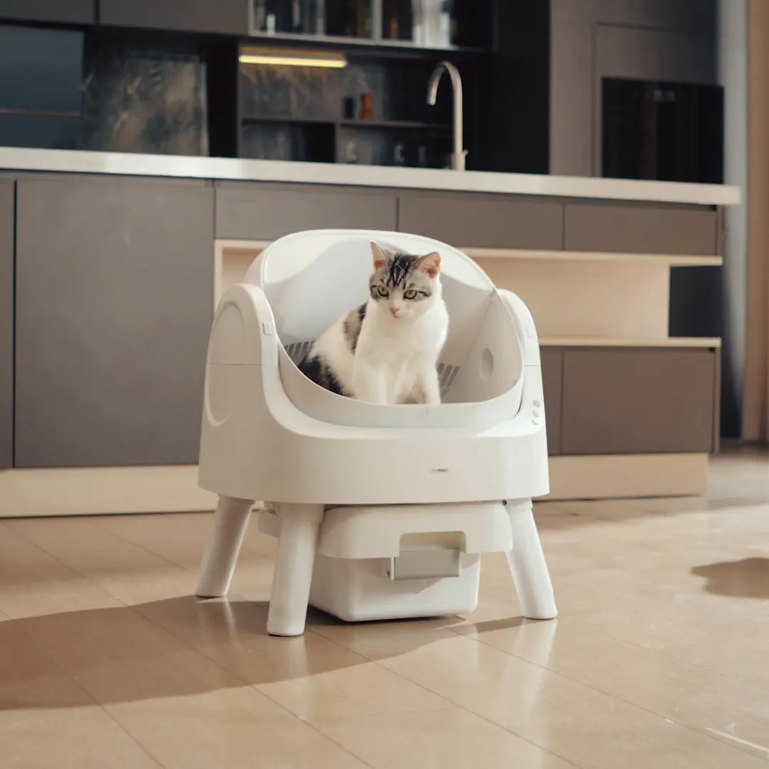 Automatic Self Cleaning Cat Litter Box with Hands Free Scooping