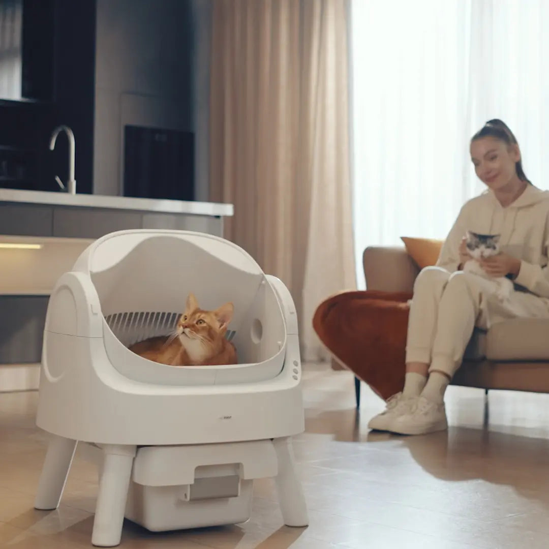 Automatic Self Cleaning Cat Litter Box with Hands Free Scooping