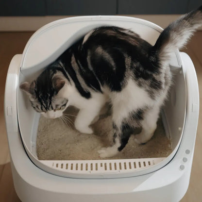 Automatic Self Cleaning Cat Litter Box with Hands Free Scooping