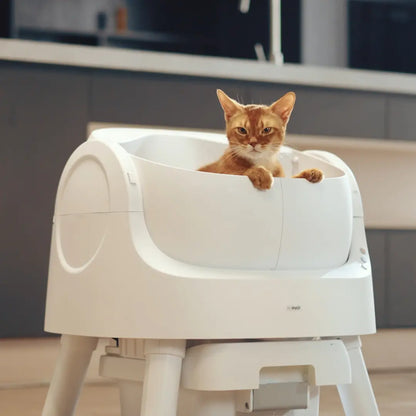 Automatic Self Cleaning Cat Litter Box with Hands Free Scooping